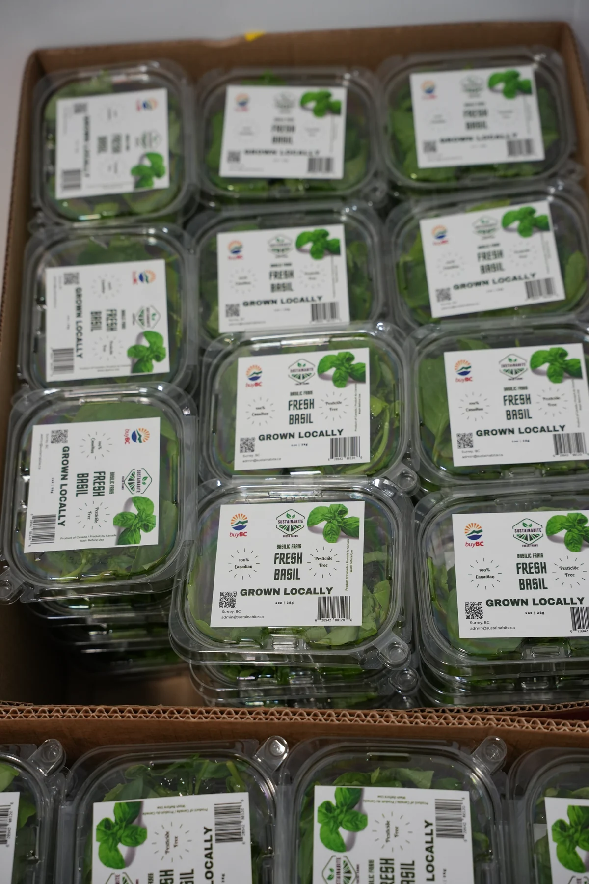 Labelled Sustainabite basil packs prepared for customers.
