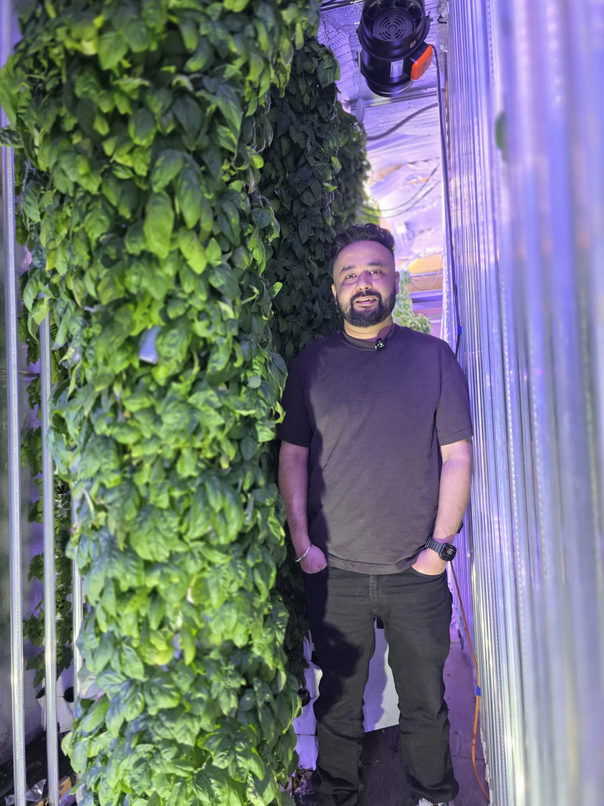 Ranjot beside a tall column of basil growing inside the Surrey farm.