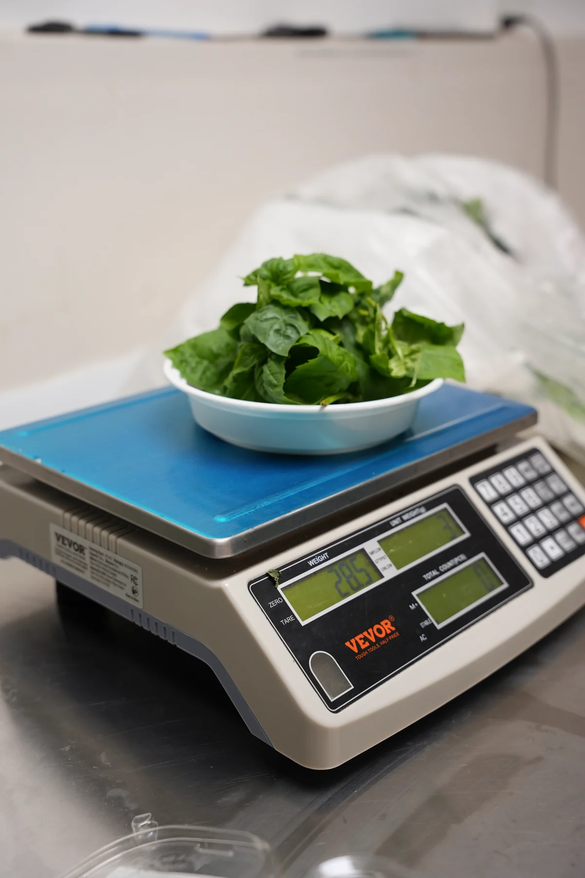 Fresh green basil in a bowl being weighed at the Surrey farm.