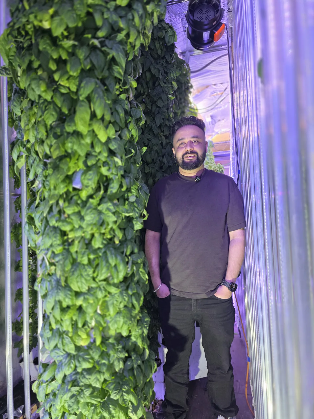 A person standing beside tall, planted towers in the Sustainabite farm.